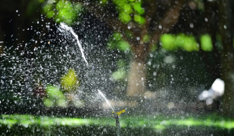 Sprinkler Problems You Shouldn’t Ignore in Florida Yards