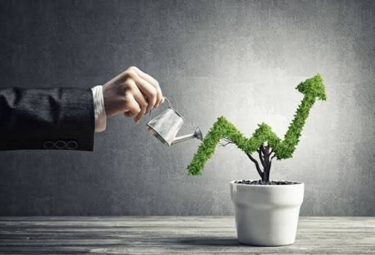 How to Grow a Successful Business and Build Long-Term Wealth