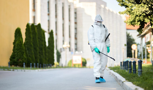 Pest Control for Ants: Effective Ways to Keep Your Home Ant-Free